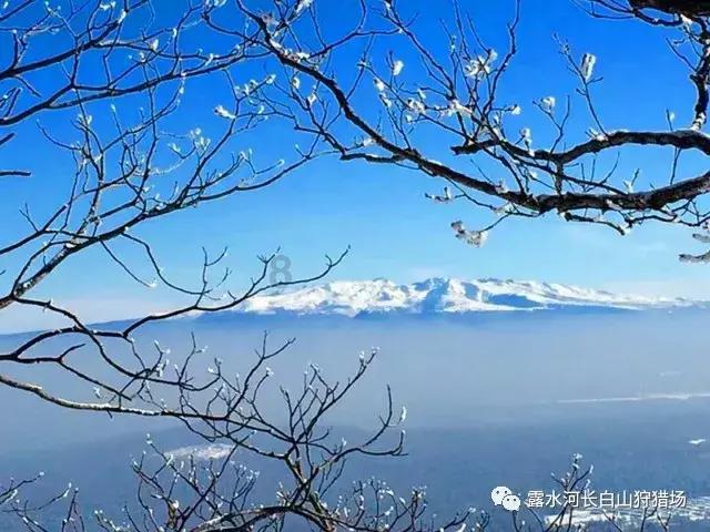 书旗小说可以找到网络上热门的小说吗？